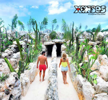 Xenses